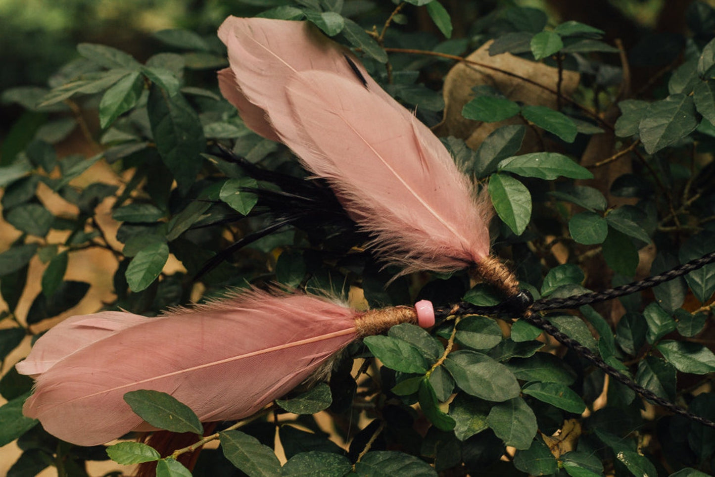 Pink and Black headpiece with feathers